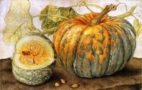 Pumpkins