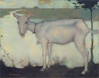 An Old Goat by the Lake