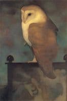Big Owl