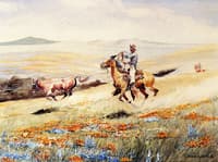 Runaway Steer