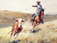 Roping a Steer