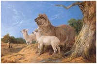 Ewe with Lambs