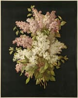 Lilacs