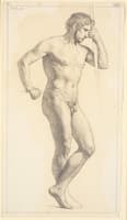 Standing Nude Male Model