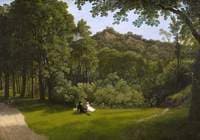 A Scene in Leigh Woods
