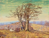 The Beech Tree