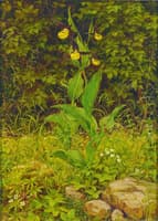 The Forest Edge