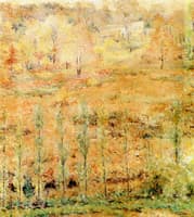 Spring's Palette