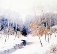 Snowfall