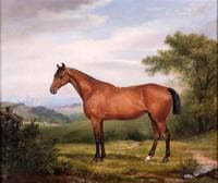 Portrait of a Bay Hunter in a Landscape with a Cathedral in the Distance