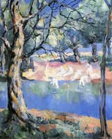 River in the Forest