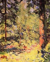 A Sunlit Spruce Forest, Småland, Sweden