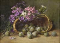 Phlox and Plums