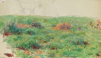 Landscape with Meadow