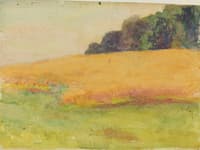 Landscape with Orange Field