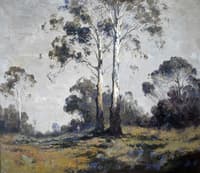 Ghost Gums and Figure