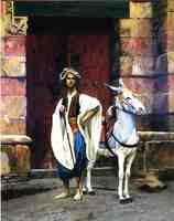 Sais and His Donkey