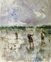Women Working In Rice Fields
