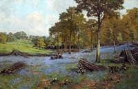 May in the Woods