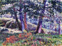 Oaks and Blueberry Bushes
