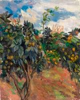 Orange Trees with Fruits