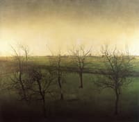 Orchard at the End of Winter