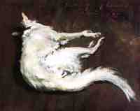 A Sketch of My Hound "Kuttie"