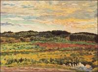 Evening Landscape