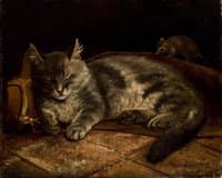 A Sleeping Gray Cat and a Rat