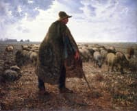 Tending His Flock