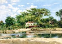 The Old Ceiba Tree at Ponce