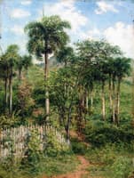 Landscape with Royal Palms