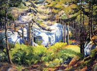 Wooded Landscape