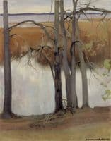 Lake Shore with Reeds