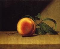 Still Life with Peach