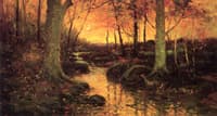 Sunset in Wood after Rain