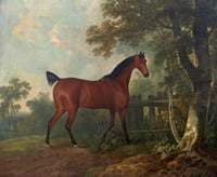 Amaranth, the Property of A. B. St Leger, Esq.