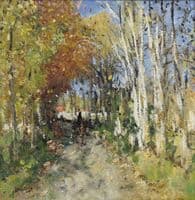 Alley in the Forest