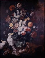 Still Life with a Cockatoo