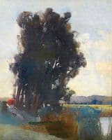 On the Banks of the River at Heidelberg