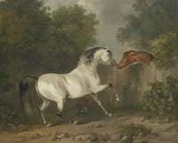 Two Horses by a Fence