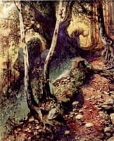 Hunting Mushrooms in the Old Forest