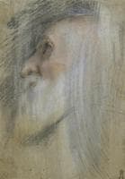 Study of an Old Man's Head