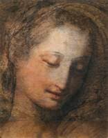 Face of a Woman Looking Down