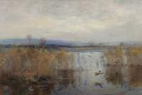 Reeds and Ducks