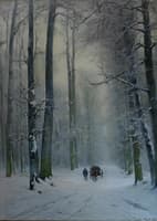 Path in the Hague Forest