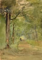 Summer Lane