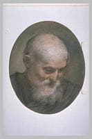 Study Head of an Old Bearded Man