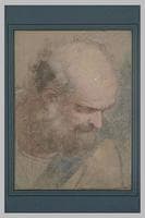 Study of an Old Man Head Turned Right