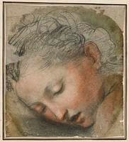 Head of a Woman (study for a Deposition)